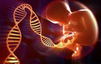 供卵代怀生男宝代生包成功